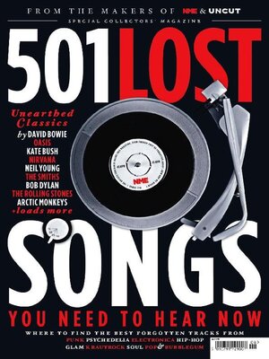 cover image of NME Icons 501 Lost Songs